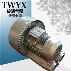 抽真空吸附式气泵