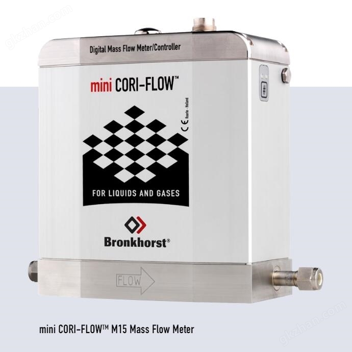 Bronkhorst gas flowmeter