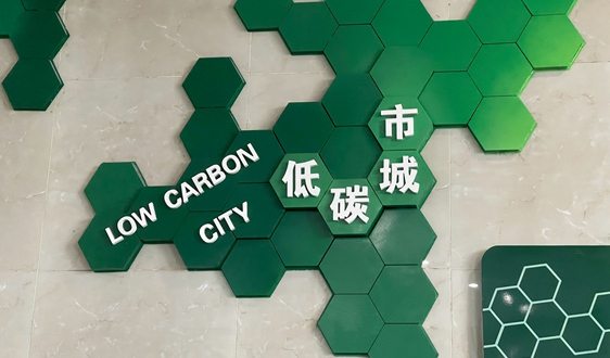 海南省人民政府關(guān)于印發(fā)《海南低碳島建設(shè)方案》的通知