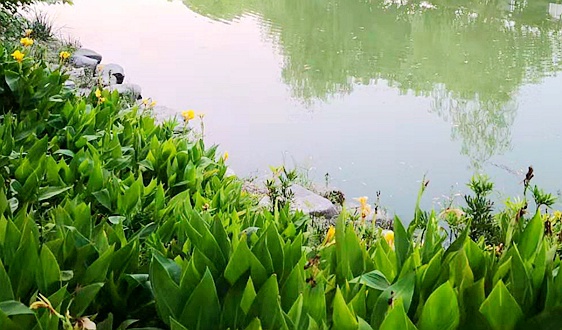 李骏院士：智能底盘迎规模化爆发前夜，国产零部件市占率突破80%