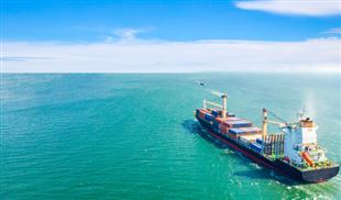 我国一批甲醇双燃料船项目达成关键节点