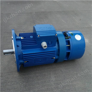 紫光BMA三相異步電磁制動電機(jī)