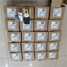 317992BURKERT寶德不銹鋼流量計(jì)