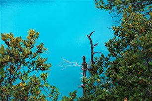 长江环保集团参编协同降碳领域国家标准正式发布