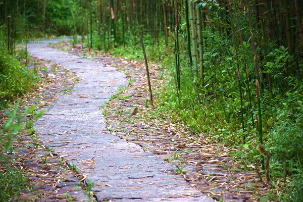 安徽三部門聯(lián)合發(fā)文！加強建設用地土壤污染防治