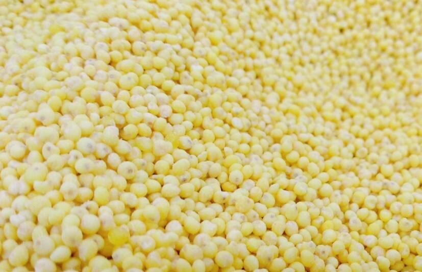 涉農(nóng)設(shè)備更新政策加碼：冷鏈與糧油加工裝備迎機(jī)遇