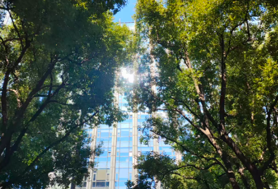 中科曙光：開放算力，夯實中國大模型Token出海底氣