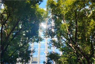 日照东港区：聚数据要素之能 走数实融合之路